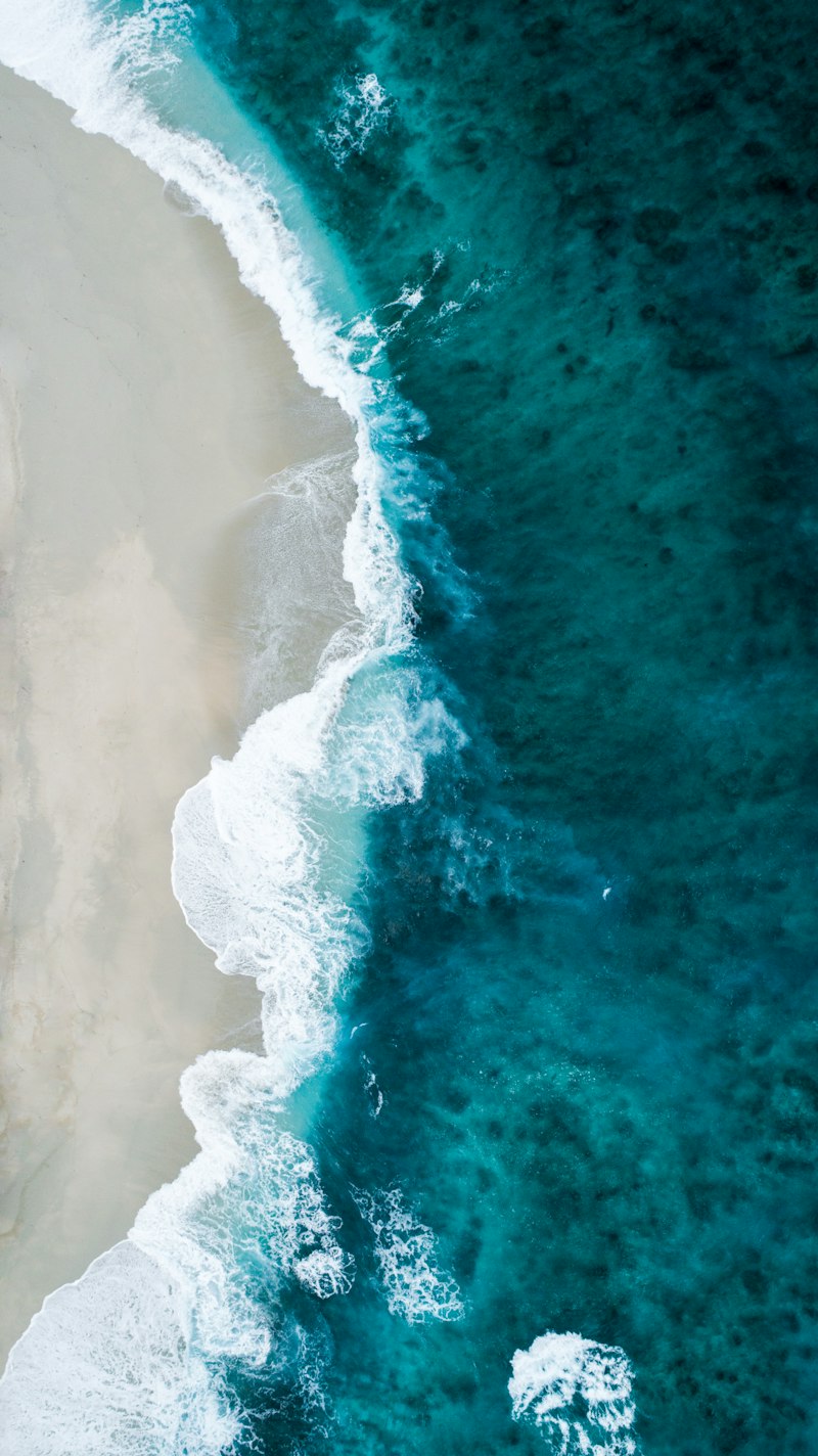 Tropical beach conservation